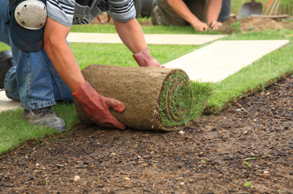 Tuin en tuinaanleg in Lommel